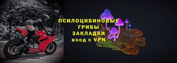 амф Краснослободск