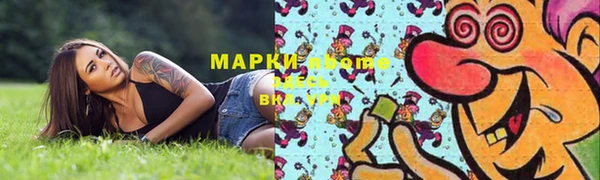 амф Краснослободск