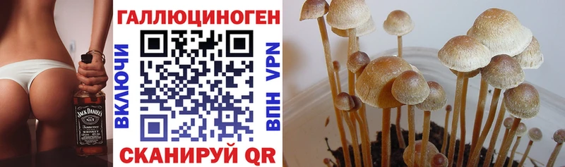 Галлюциногенные грибы прущие грибы  гидра   Беломорск 